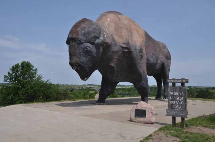 bison statue